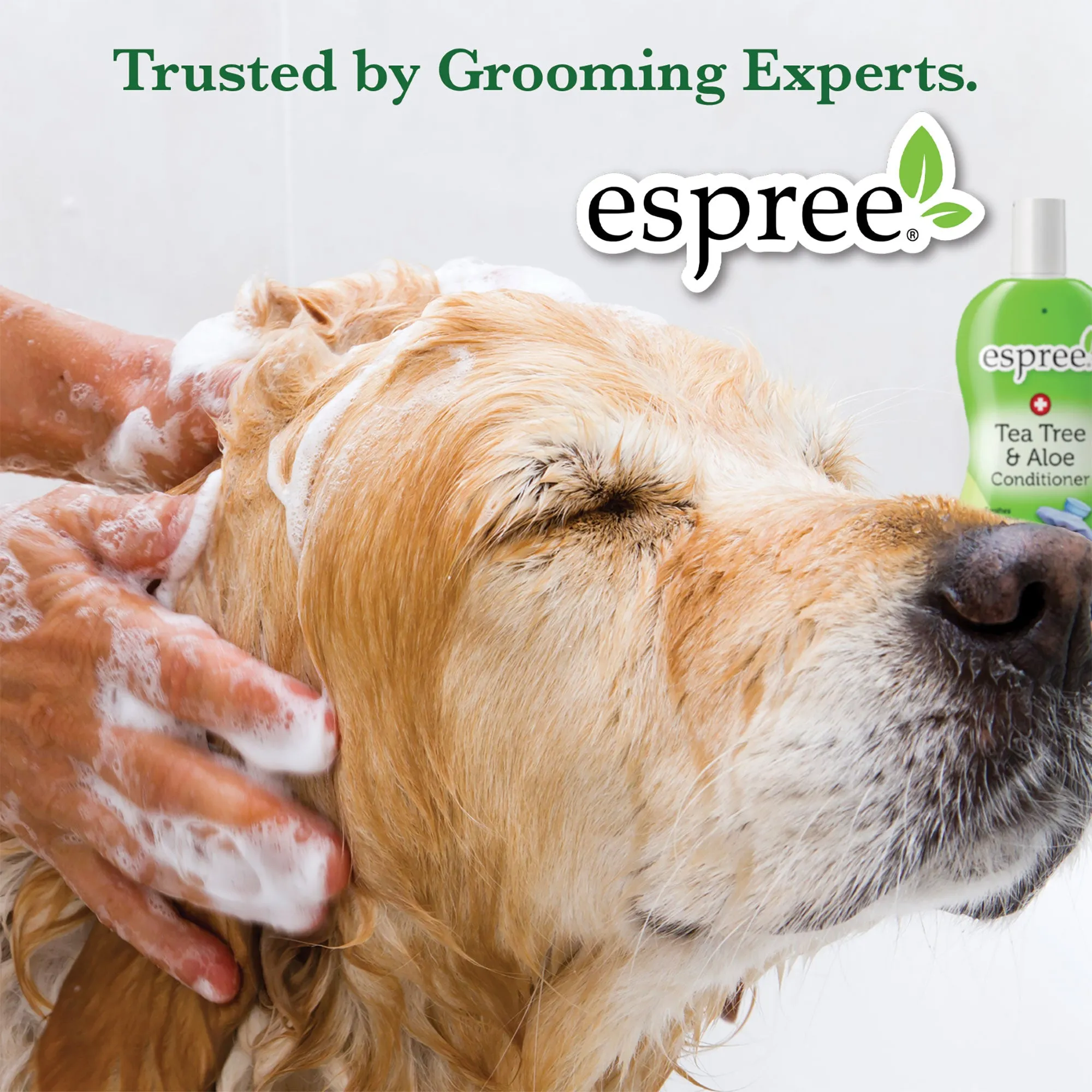 Espree Rainforest Shampoo For Dogs & Cats 20 Ounce